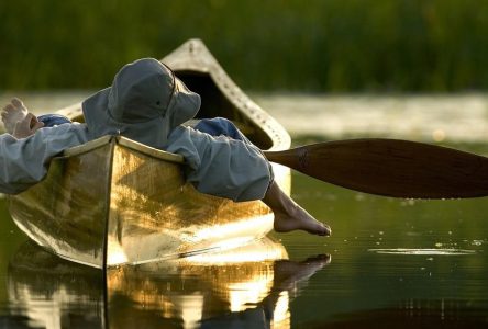 Ontario proposal puts wetlands at further risk: auditor, advocates