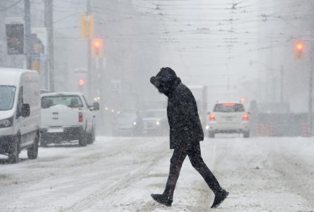 Southeast Ontario could see up to 30 cm of snow by Saturday as storm continues east