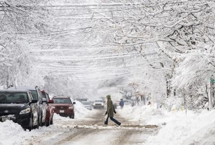 Environment Canada warns of winter storm and multi-day snowfall in parts of Ontario