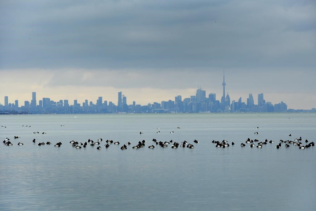 Ontario braces for storm, hundreds of schools to be closed on Friday