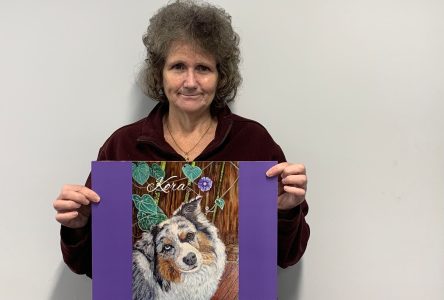 Local Artist Raising Funds to Support OSPCA