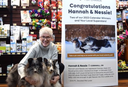 Local Therapy Dogs Featured in Pet Valu Fundraising Calendar