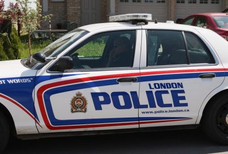 Pedestrian dies after being hit by train in London, Ont., police say