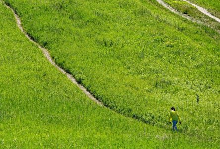 OPP working to determine whether to investigate Greenbelt development plan