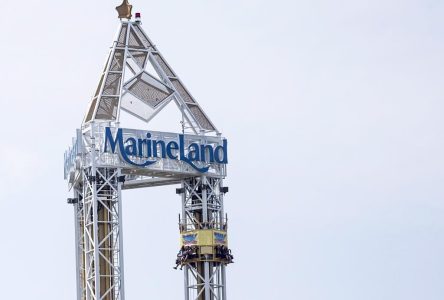 Marineland registers to lobby Ontario government with goal of selling