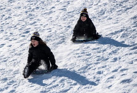 Councillors vote down controversial proposed tobogganing ban in Oshawa, Ont.