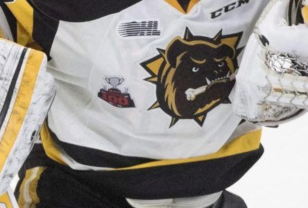 Ontario Hockey League’s Bulldogs officially relocating from Hamilton to Brantford