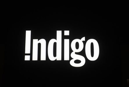 Credit, debit info and Plum points not compromised in cybersecurity incident: Indigo