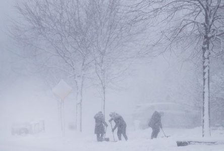 Winter storm descends over southern Ontario, snow and freezing rain in forecast