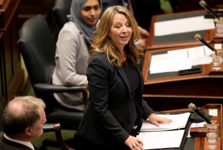 NDP files integrity complaint about Ford family stag-and-doe event