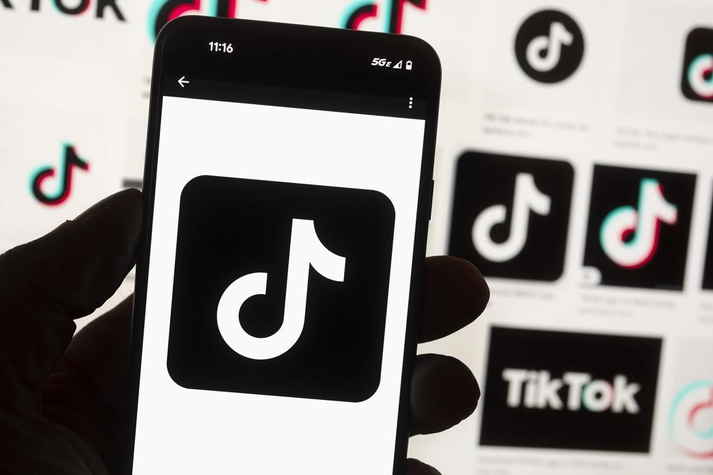 TikTok investigation sign of data privacy, geopolitical climate: academics