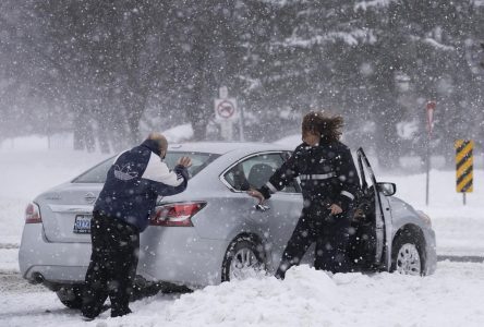 Another bout of freezing rain, snow in southern Ontario forecast