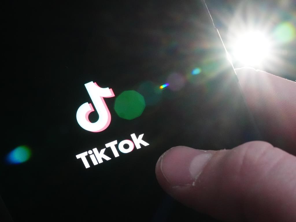 TikTok ban should make companies review social media, device policies, experts say