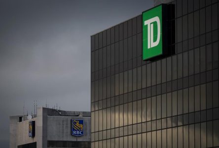 TD follows other banks in seeing profits fall as more money set aside on rising risk