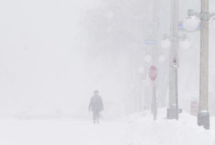 Southern Ontario under storm watch with up 20 cm in Friday forecast