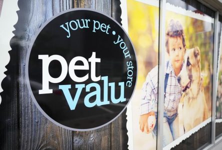 Pet Valu offers rosy outlook as it grows market share in lucrative pet industry