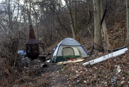 Toronto saw more than three homeless deaths per week on average in 2022: city data