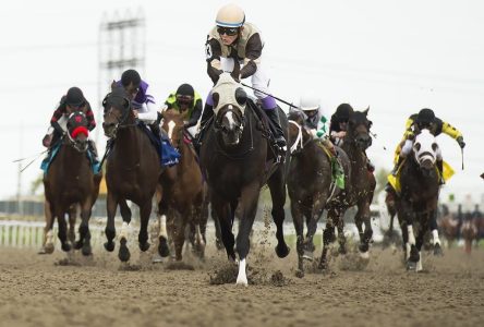 Woodbine Entertainment hires longtime trainer Dan Vella as Horse People Liaison