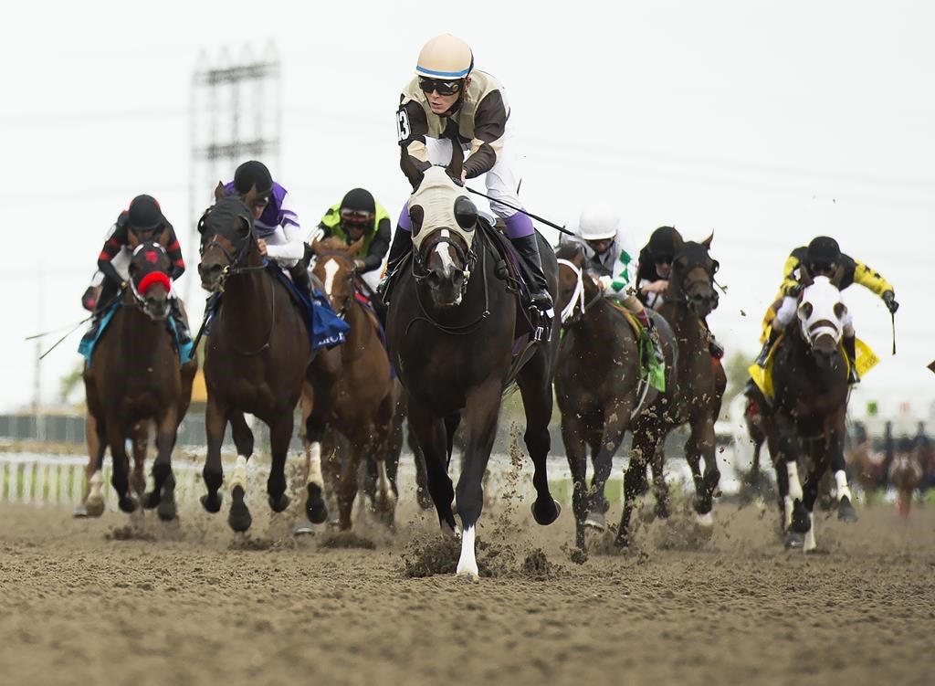 Woodbine Entertainment hires longtime trainer Dan Vella as Horse People Liaison