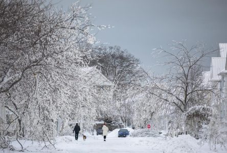 Ontario doles out $5.5M to small communities for storm clean up, recovery