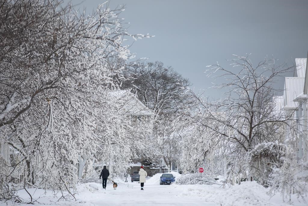 Ontario doles out $5.5M to small communities for storm clean up, recovery