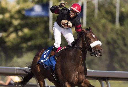 Veteran jockey Luis Contreras to chase third Plate victory