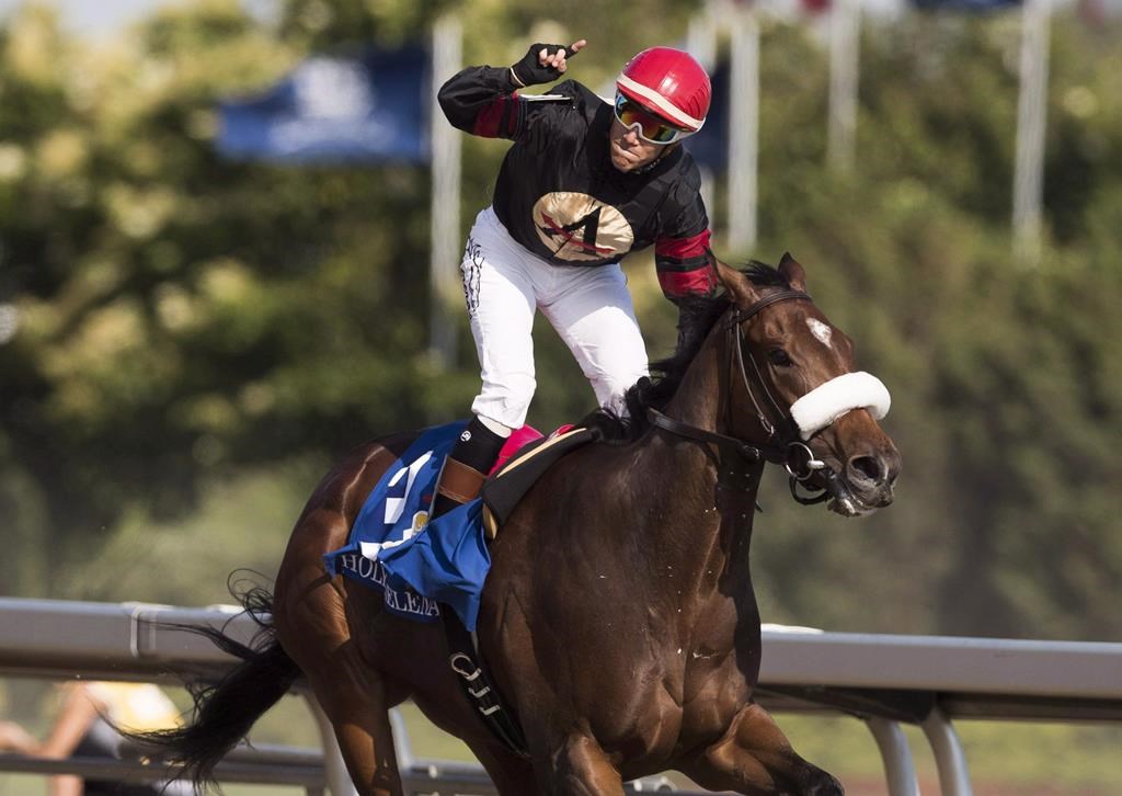 Veteran jockey Luis Contreras to chase third Plate victory