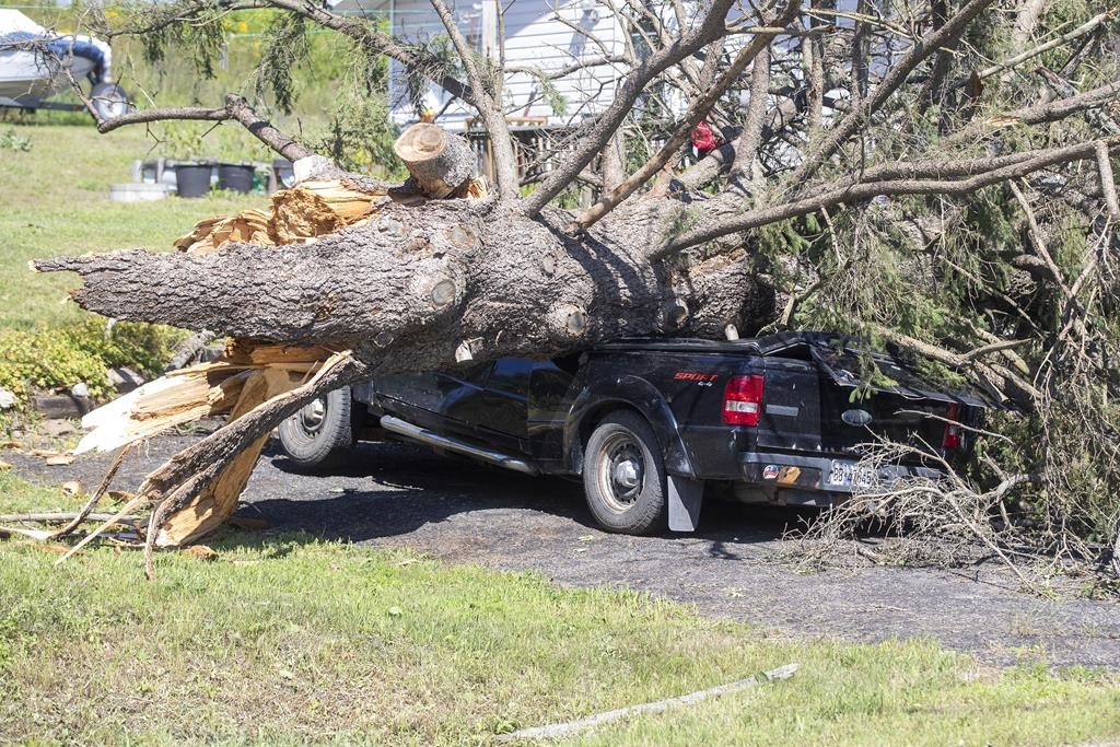 Ontario derecho, tornado recovery funding not enough, municipalities say