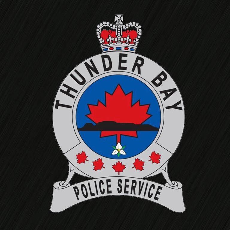 Panel calls for anti-racism policy, trauma-informed approach in Thunder Bay police