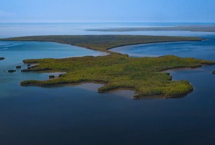 Lake Superior’s largest private island to be sold to Nature Conservancy of Canada