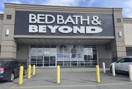 Doug Putman launching home retailer in former Bed Bath & Beyond, buybuy BABY stores