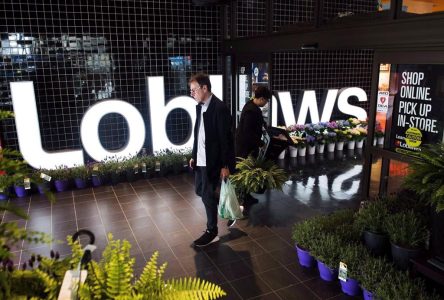 Loblaw Companies reports $418M Q1 profit, raises quarterly dividend 10%