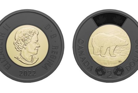 Queen Elizabeth toonie most popular coin some sellers have seen