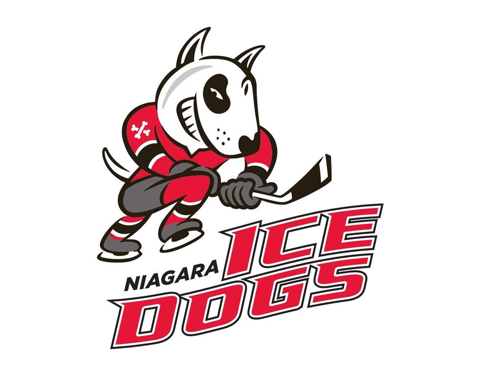 Icedogs players kicked out, GM handed two-year suspension for violating OHL policies