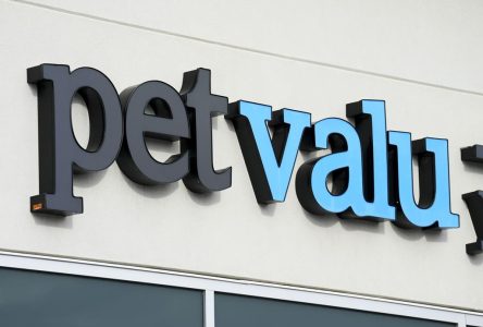 Pet Valu posts lower profit as same-store sales growth declines