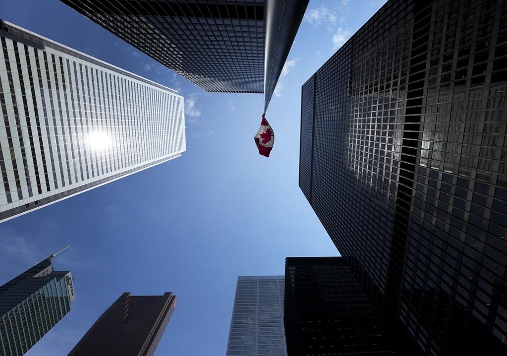 BMO and Scotiabank report slowing growth, credit provisions put pressure on earnings