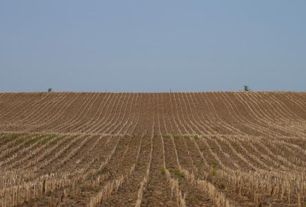 Ontario abandons proposal to sever farmland lots in response to farmer opposition