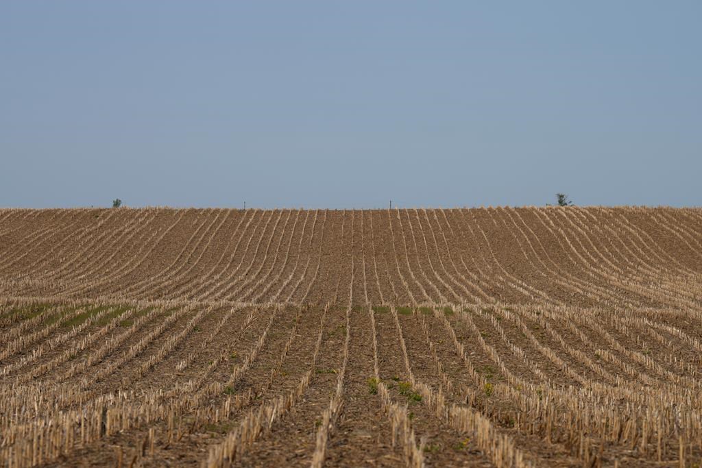 Ontario abandons proposal to sever farmland lots in response to farmer opposition