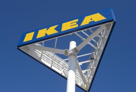 Selwyn Crittendon named new chief executive at Ikea Canada