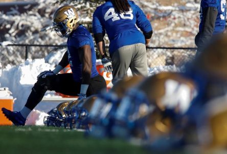 Ticats land Canadian defensive lineman Kongbo from Lions