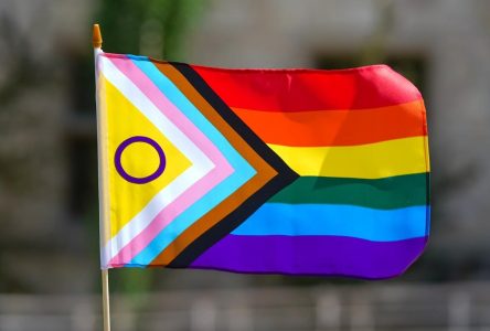 Police investigating after several Pride flags stolen in Hamilton