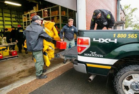 Nearly 350 firefighters from the E.U. will help battle relentless Canadian wildfires