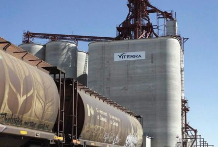 Bunge and Viterra sign merger agreement to create global agribusiness