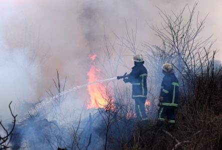 Residents Urged to Take Precautions: Poor Air Quality Conditions Due to Wildfire Smoke