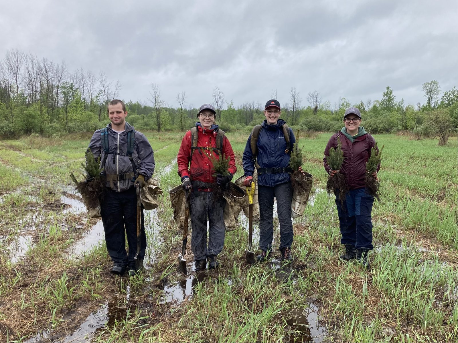 RRCA Helps Landowners Improve Local Forest Cover