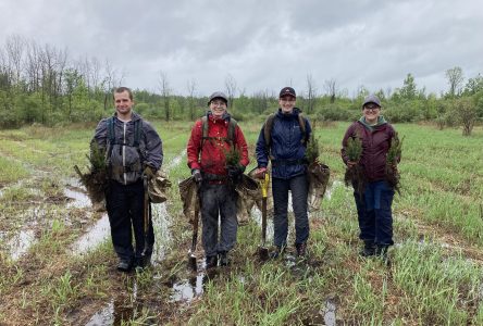 RRCA Helps Landowners Improve Local Forest Cover