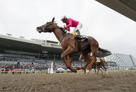 Paramount Prince wins 164th running of $1-million King’s Plate race