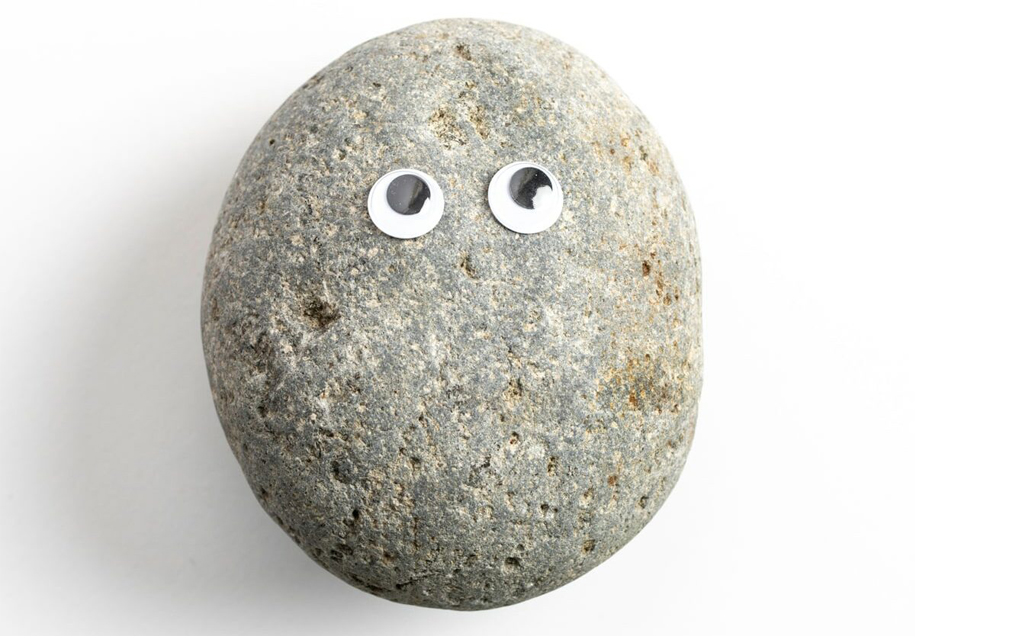 National Pet Rock Day