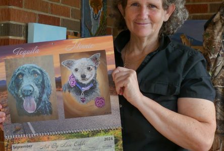 Pet Portraits for OSPCA