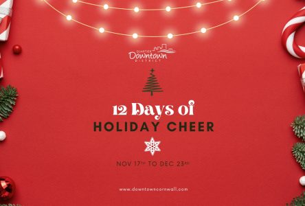 12 Days of Holiday Cheer are coming!